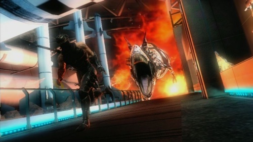 Ninja Gaiden 3 Collector's Edition[XBOX 360]