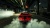 Street Outlaws 2: Winner Takes All[SWITCH]