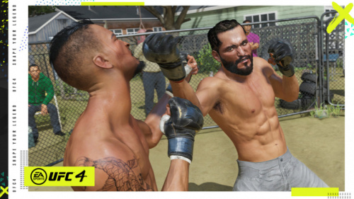 UFC 4 [PLAYSTATION 4]