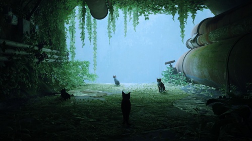 Stray[NINTENDO SWITCH]